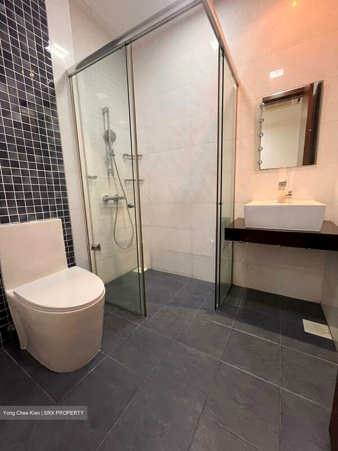 Lim Tua Tow Road (D19), Semi-Detached #500539471